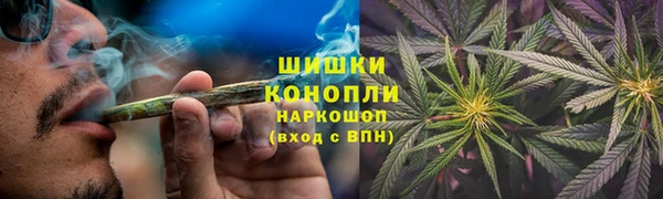 ПСИЛОЦИБИНОВЫЕ ГРИБЫ Зеленодольск