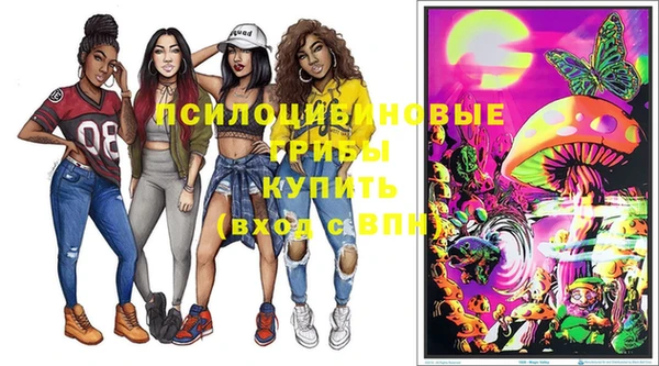 ПСИЛОЦИБИНОВЫЕ ГРИБЫ Зеленодольск
