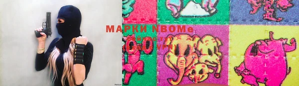 стаф Зеленокумск