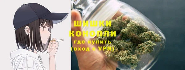 стаф Зеленокумск