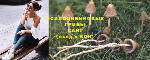стаф Зеленокумск