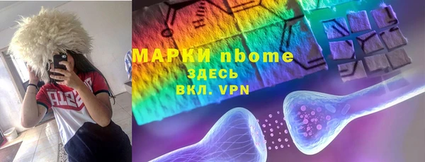 стаф Зеленокумск