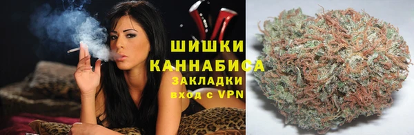 стаф Зеленокумск